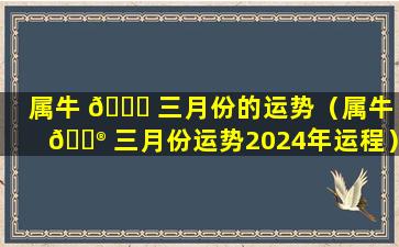 属牛 🐕 三月份的运势（属牛 💮 三月份运势2024年运程）